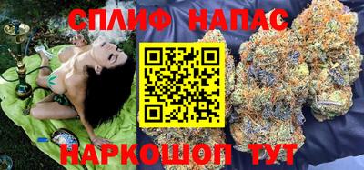 стаф Ставрополь