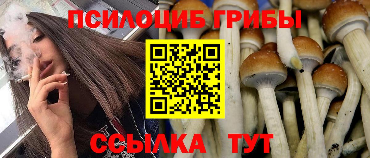 Новочебоксарск  Галлюциногенные грибы Psilocybine cubensis  Вход с VPN 
