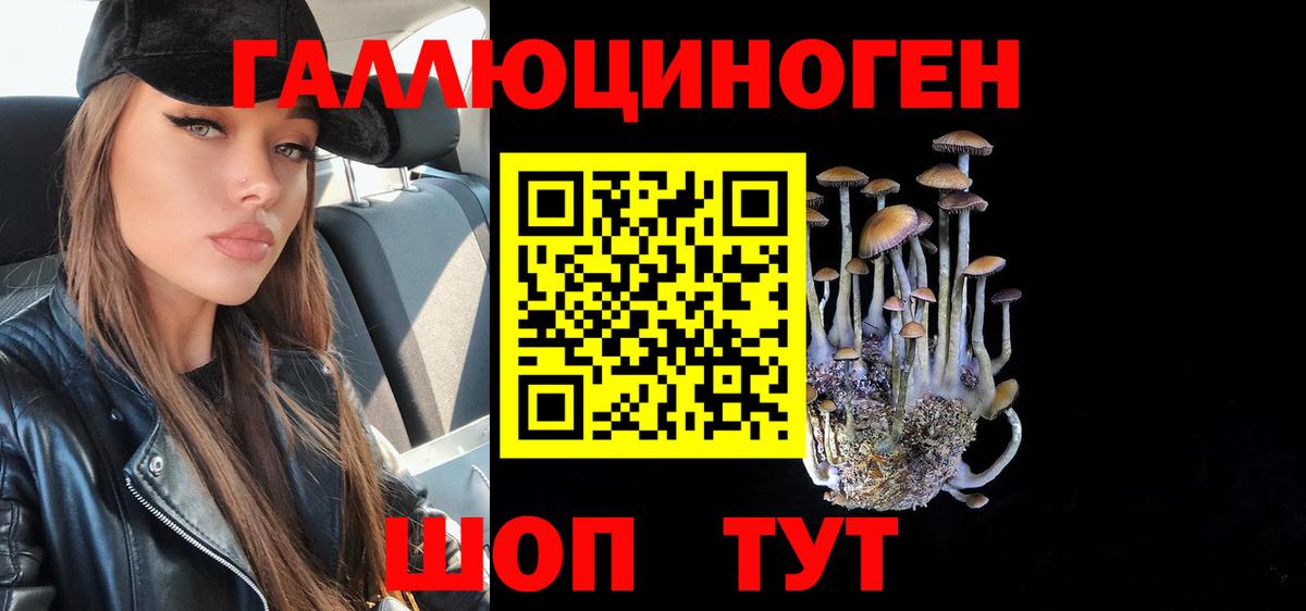 Псилоцибиновые грибы Cubensis Новочебоксарск